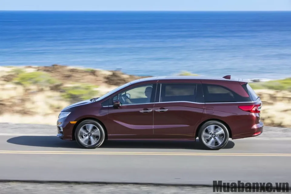 than xe honda odyssey