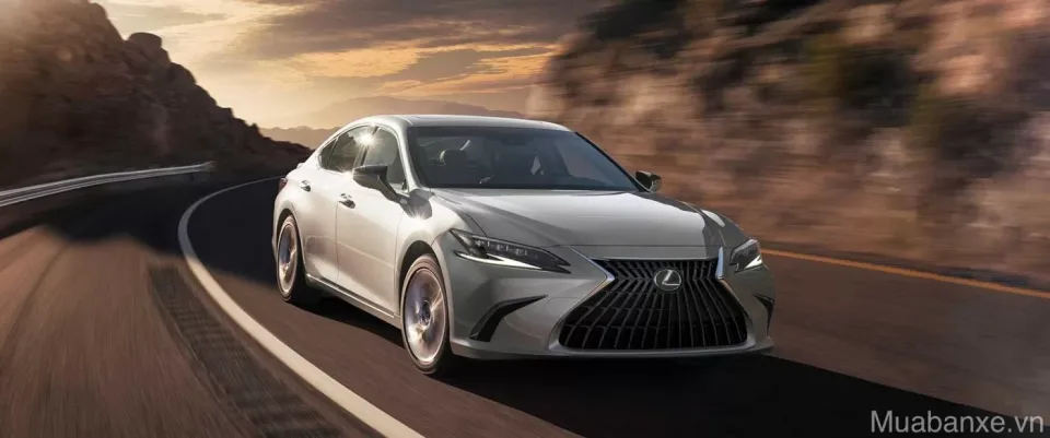 cam giac lai xe lexus es300 tinbanxe vn
