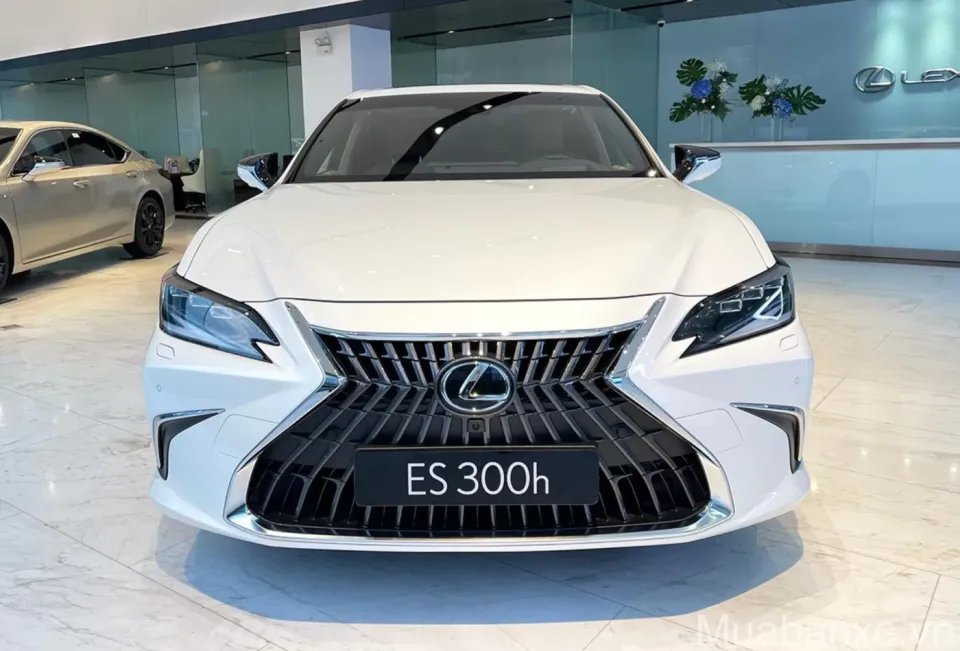 dau xe lexus es300 tinbanxe vn