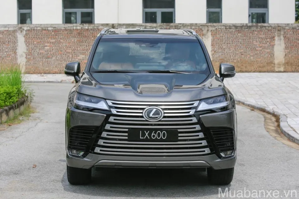 dau xe lexus lx600 tinbanxe vn