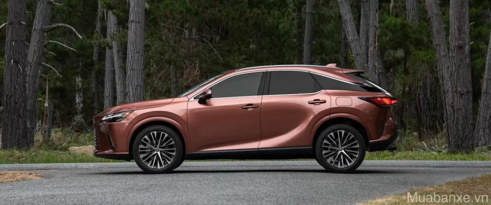 than xe lexus rx 350 tinbanxe vn