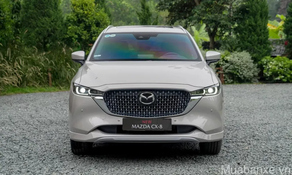 thiet ke dau xe mazda cx 8 tinbanxe vn