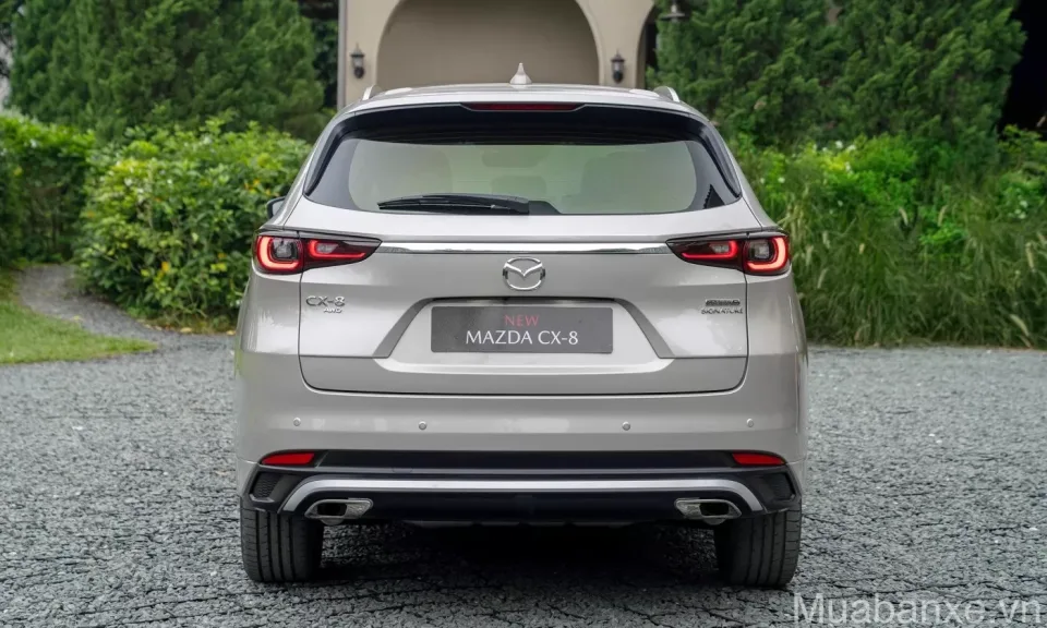 thiet ke duoi xe mazda cx 8 tinbanxe vn