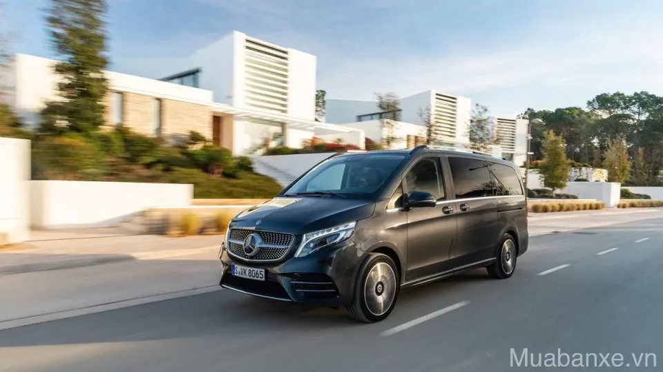 cam giac lai xe mercedes benz v250 tinbanxe vn