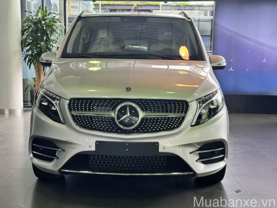 dau xe mercedes benz v250 tinbanxe vn