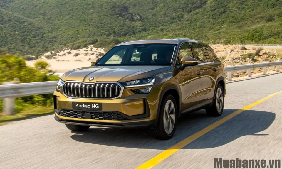 cam giac lai xe skoda kodiaq