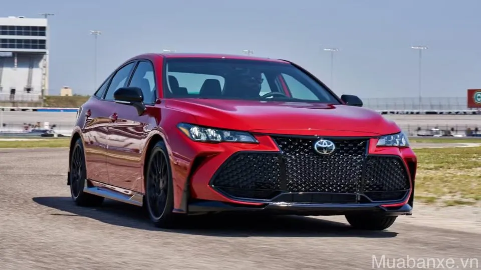 dau xe toyota avalon tinbanxe vn