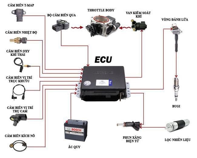 ECU là gì trong ô tô? Cấu tạo và nguyên lý hoạt động