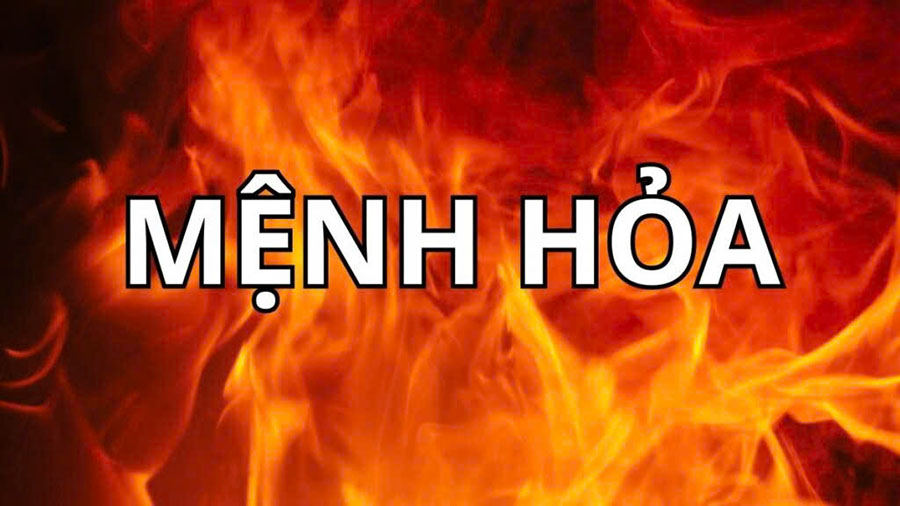 menh hoa dac diem va nam sinh tinbanxe vn