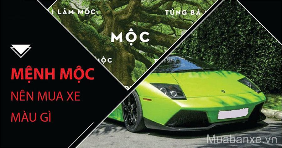 Mệnh Mộc Hợp Xe Màu Gì Theo Tuổi?
