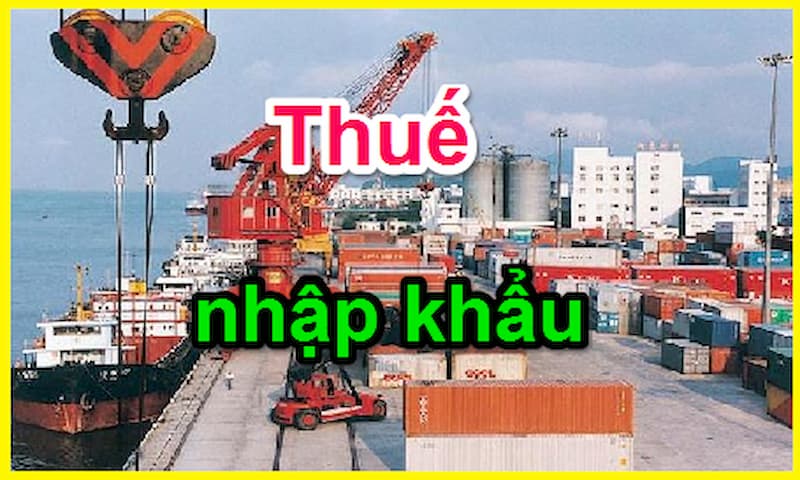 thue nhap khau