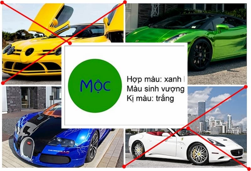 nguoi menh moc khong nen mua xe o to mau gi