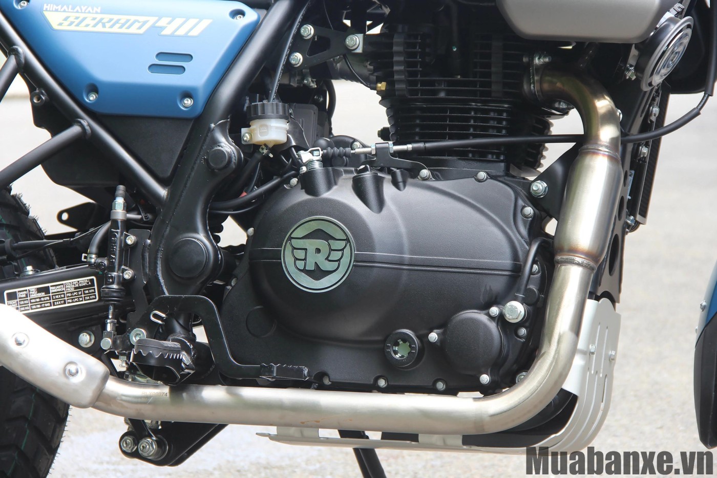 dong co xe royal enfield scram 411
