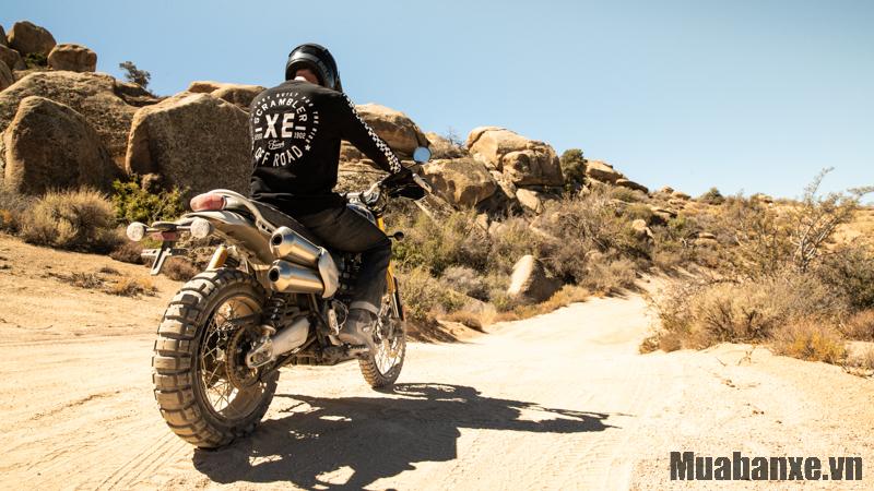 duoi xe triumph scrambler 1200