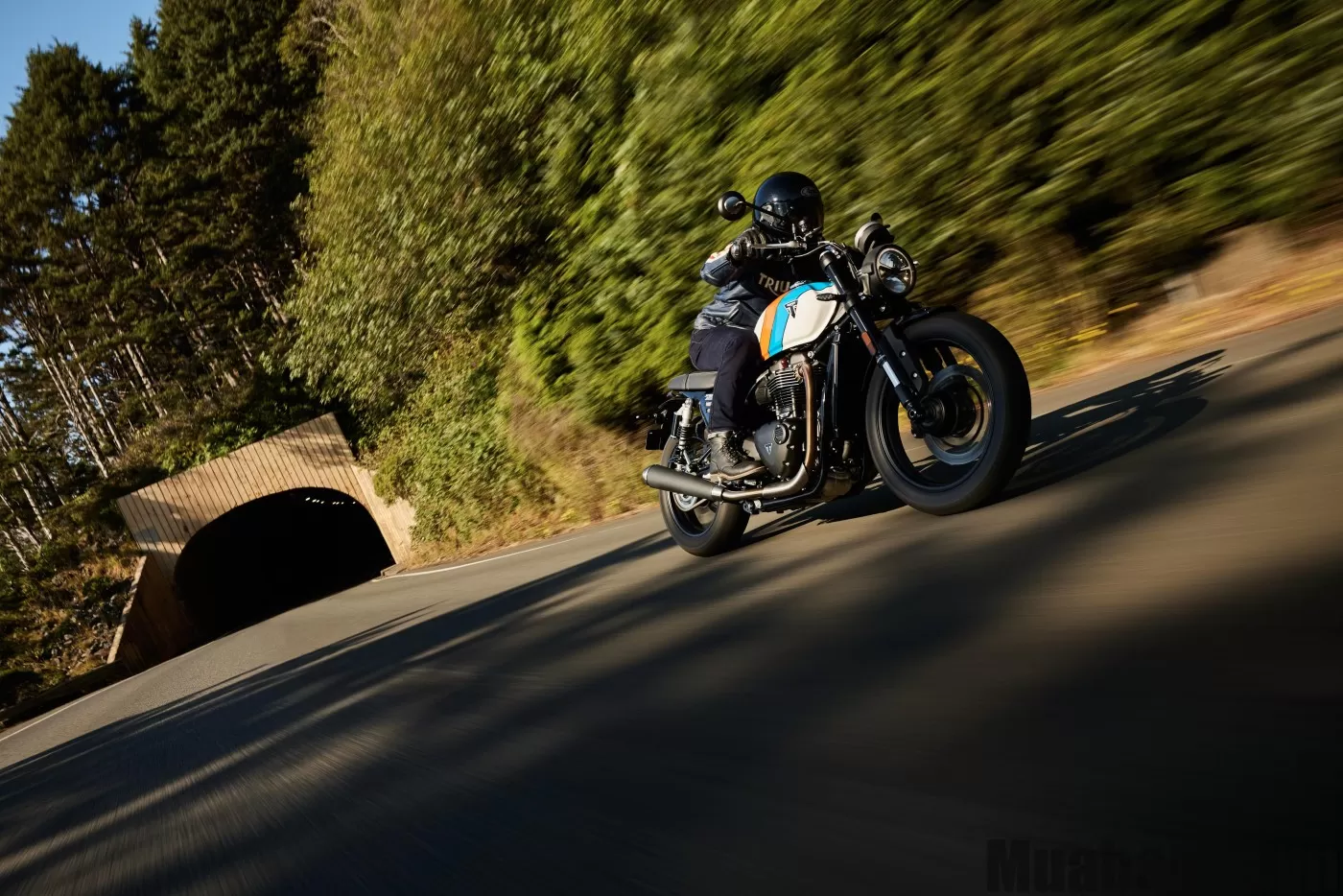 Cảm giác lái Triumph Speed Twin 900