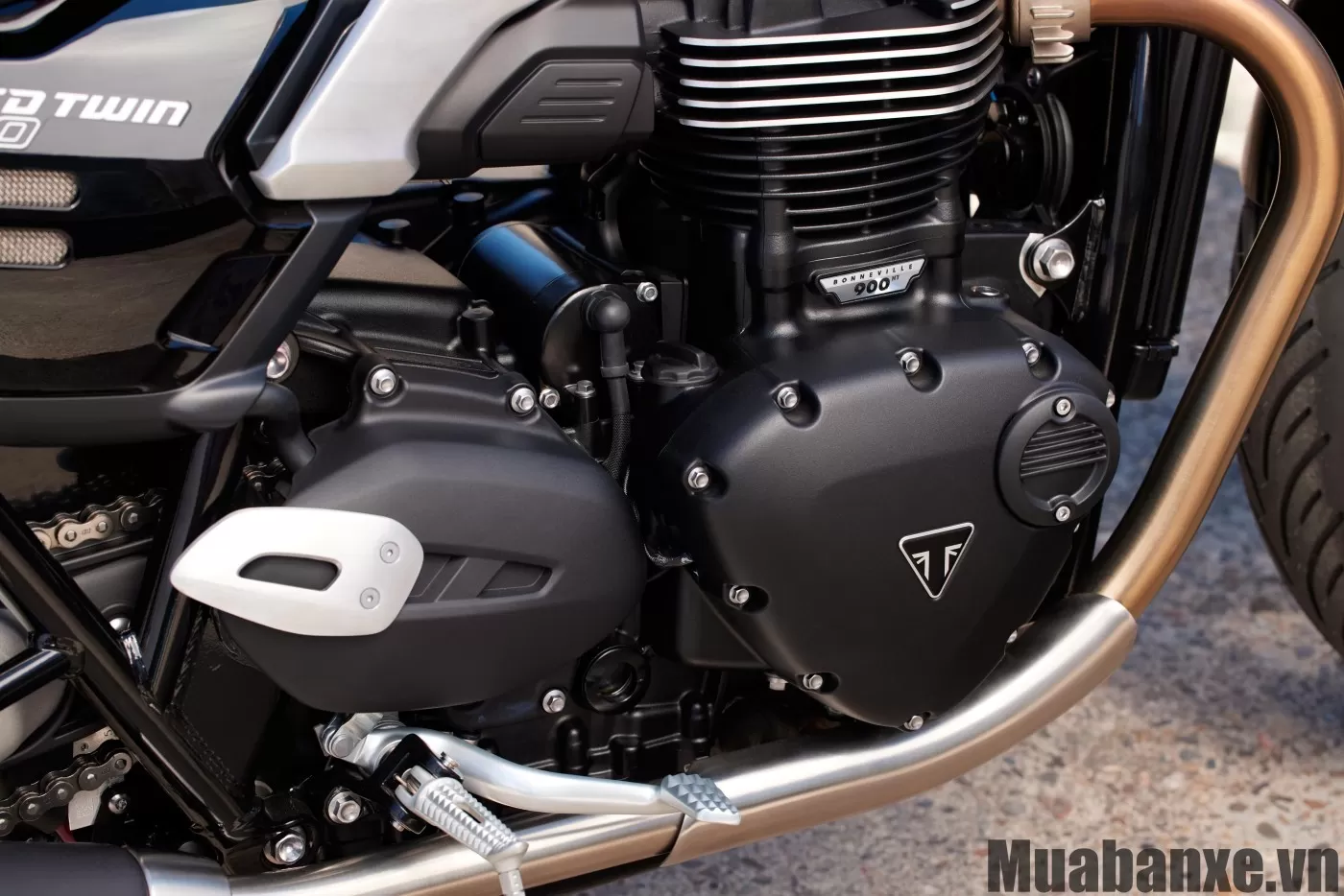 Động cơ Triumph Speed Twin 900