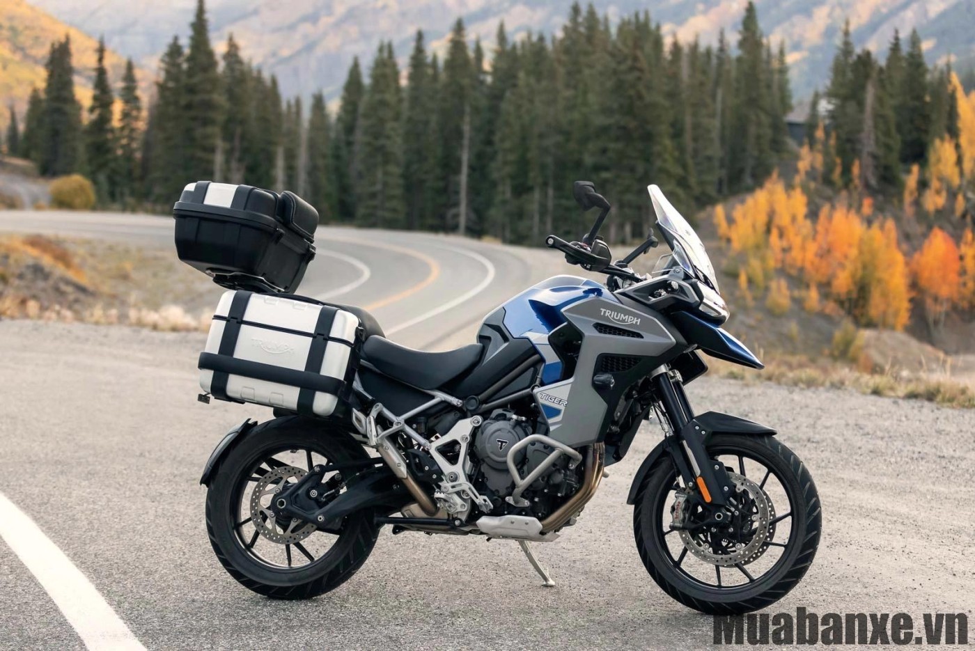 than xe triumph tiger 1200