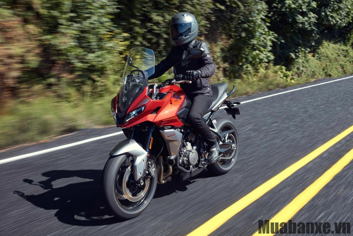 cam giac lai xe triumph tiger sport 660