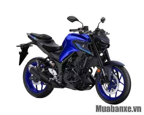 MT 03