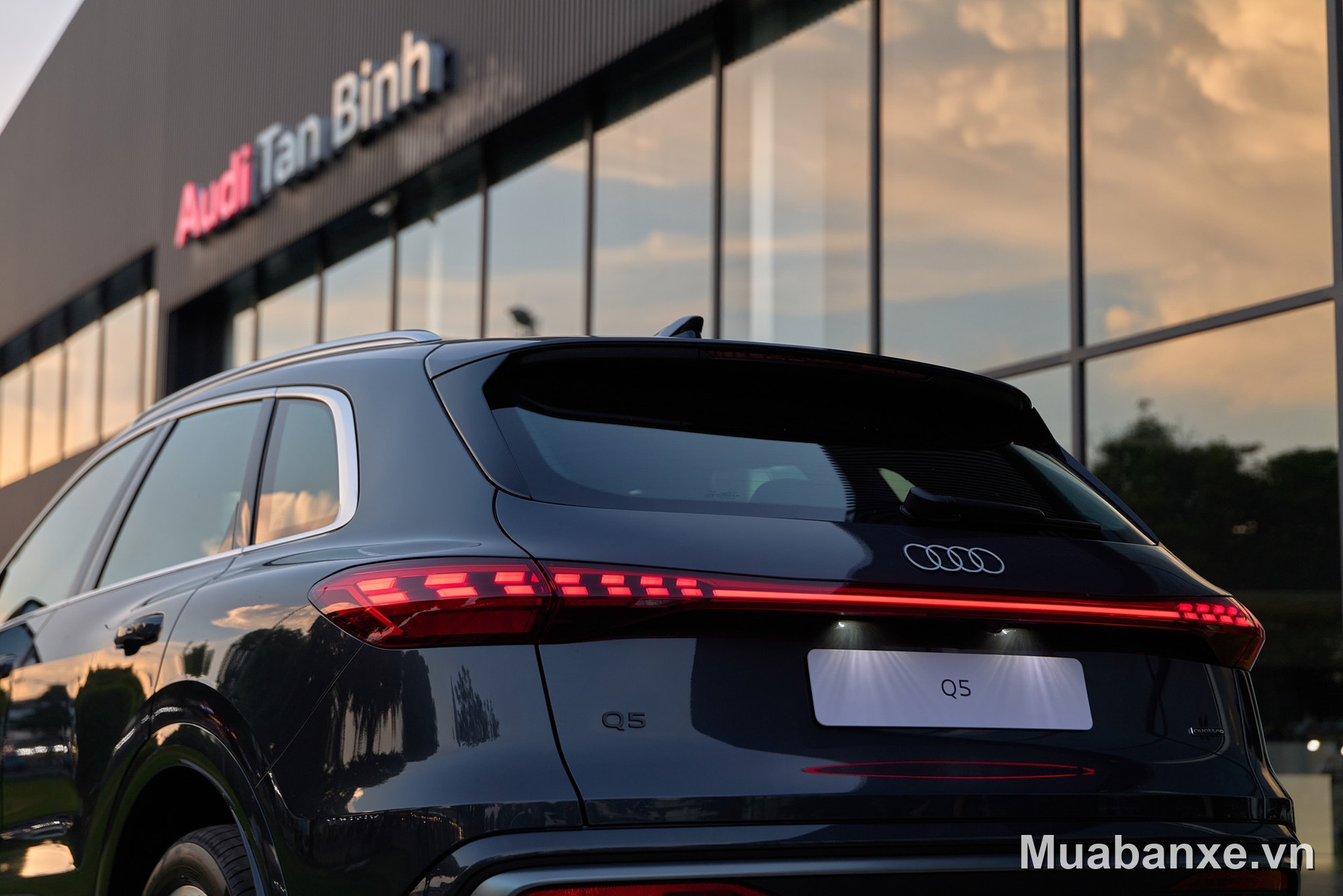 Audi Q5 2026 đuôi xe nhìn từ phía sau (góc khác)
