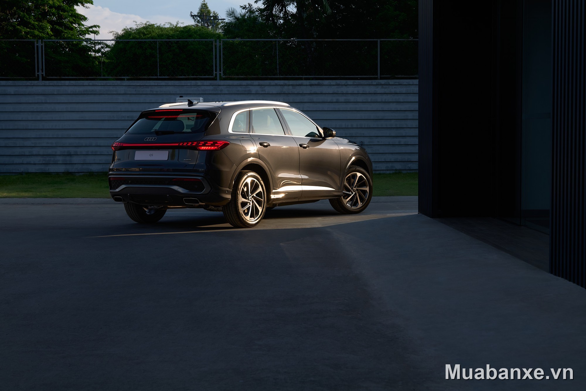 Audi Q5 2026 đuôi xe nhìn từ phía sau