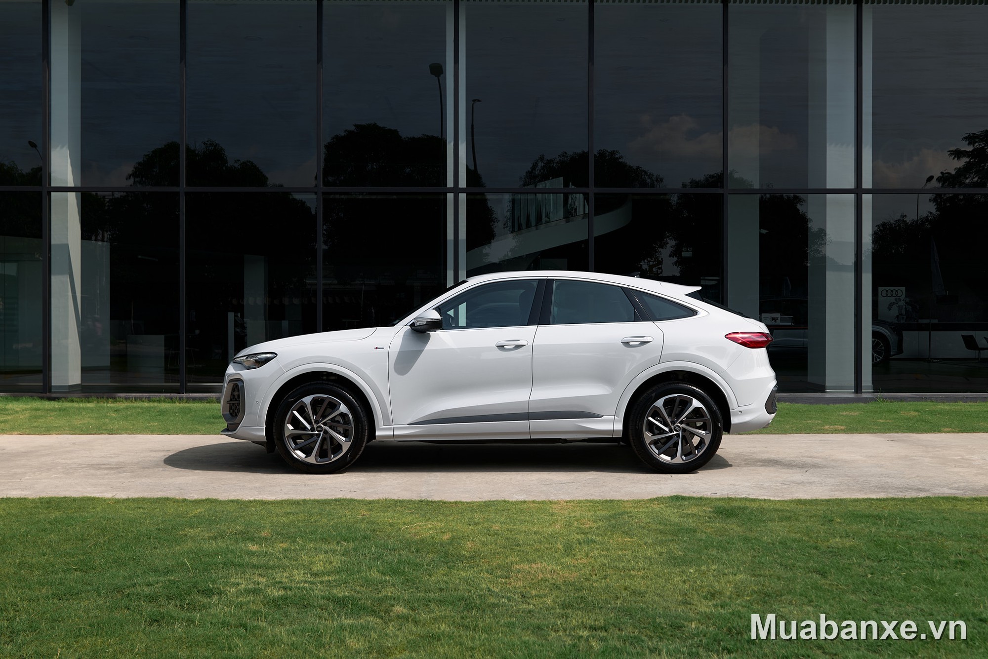 Audi Q5 2026 màu trắng
