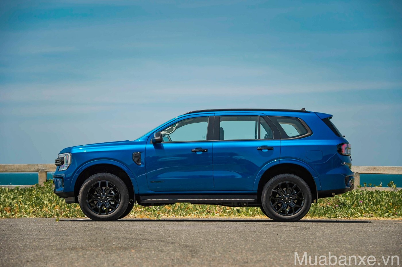 than xe ford everest tinbanxe vn