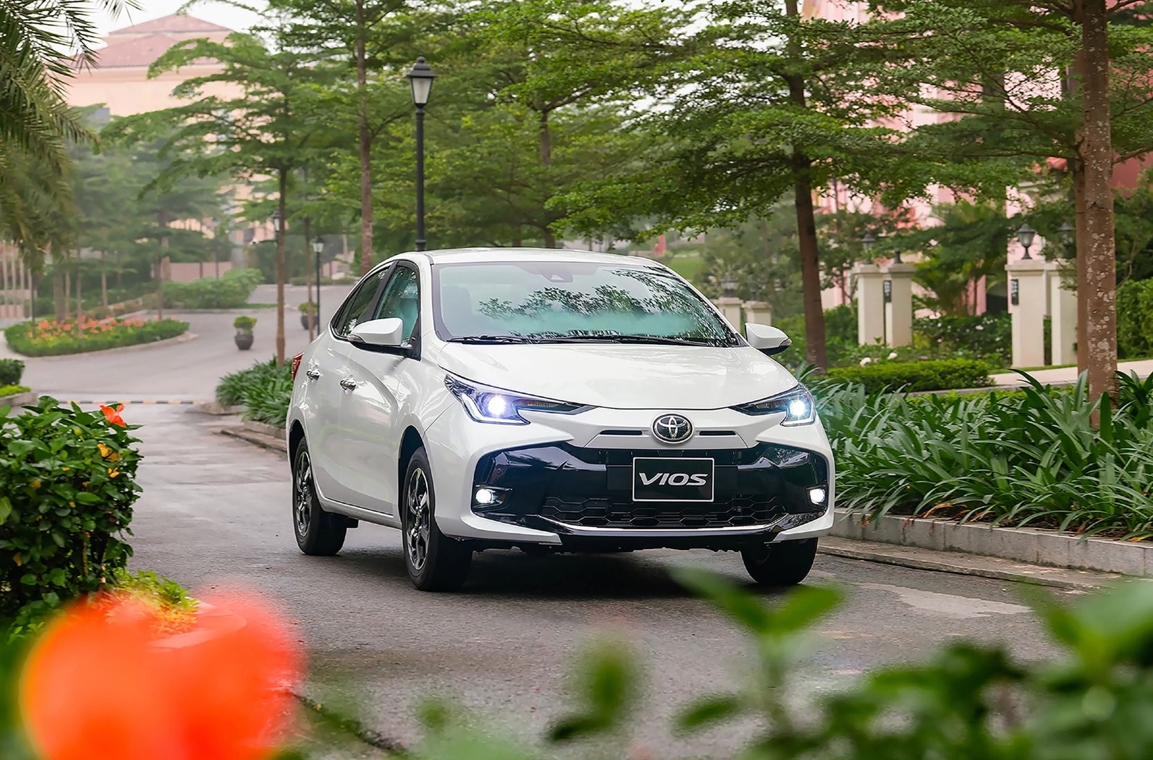 toyota vios