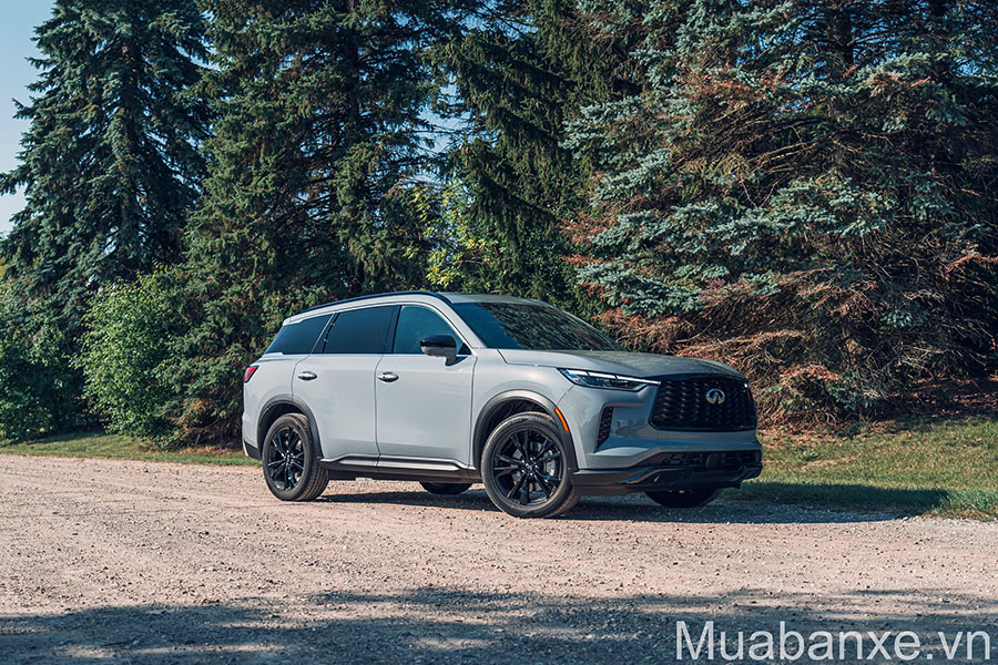dau xe infiniti qx60 tinbanxe vn