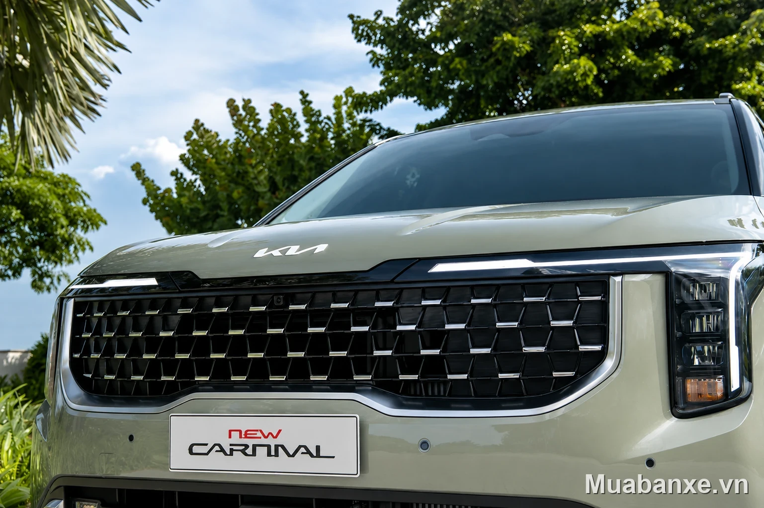 Kia Carnival mặt ca lăng