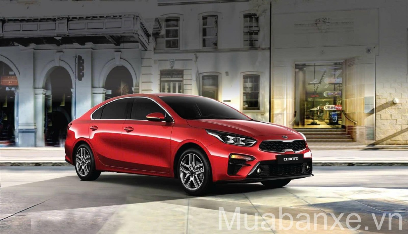 Cerato