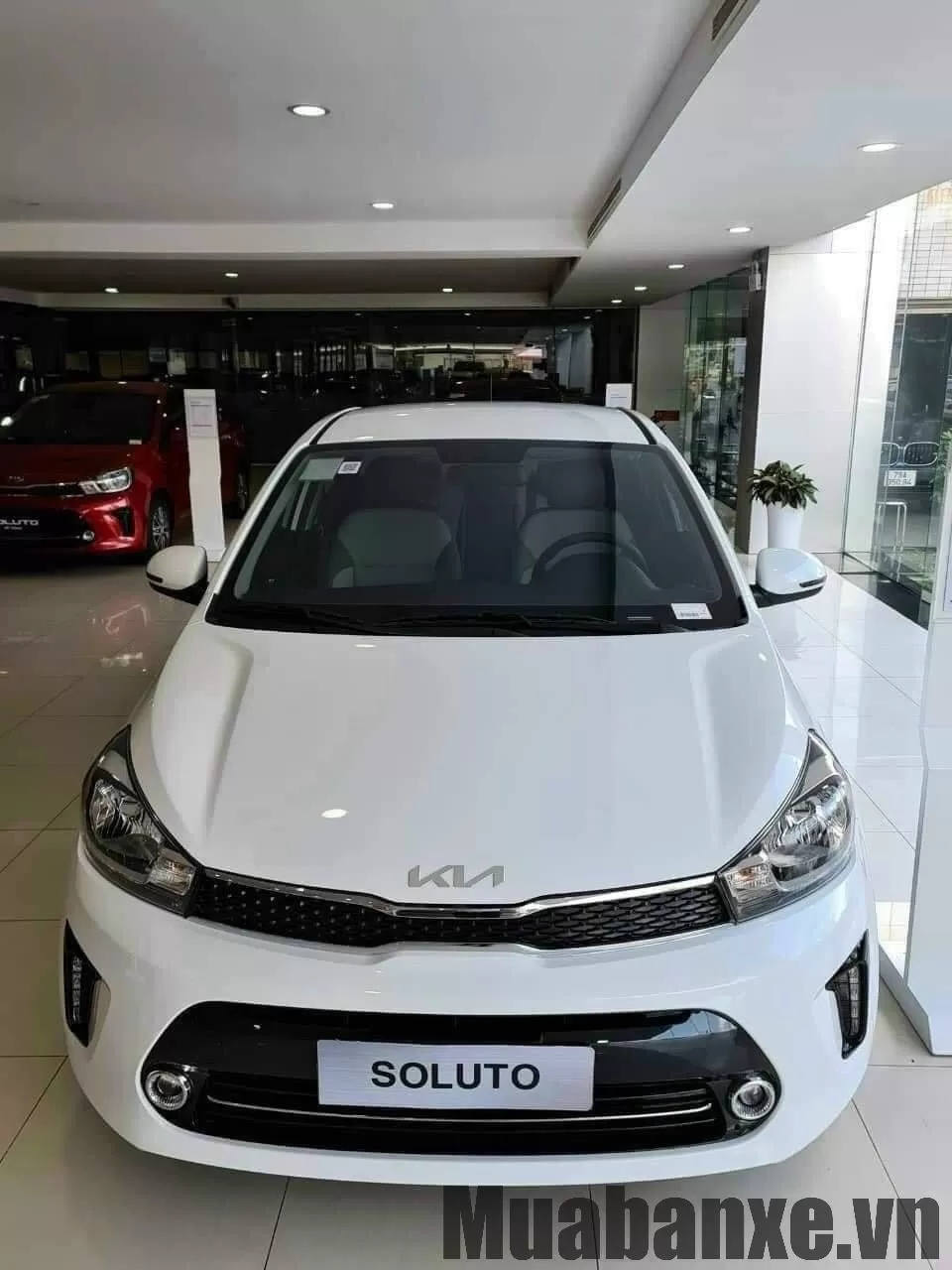 Soluto
