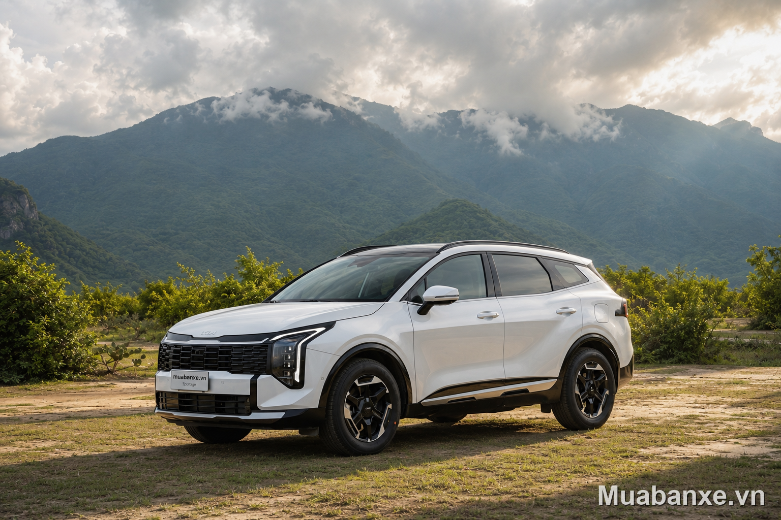 Kia Sportage màu trắng góc 3/4 trước giữa thiên nhiên