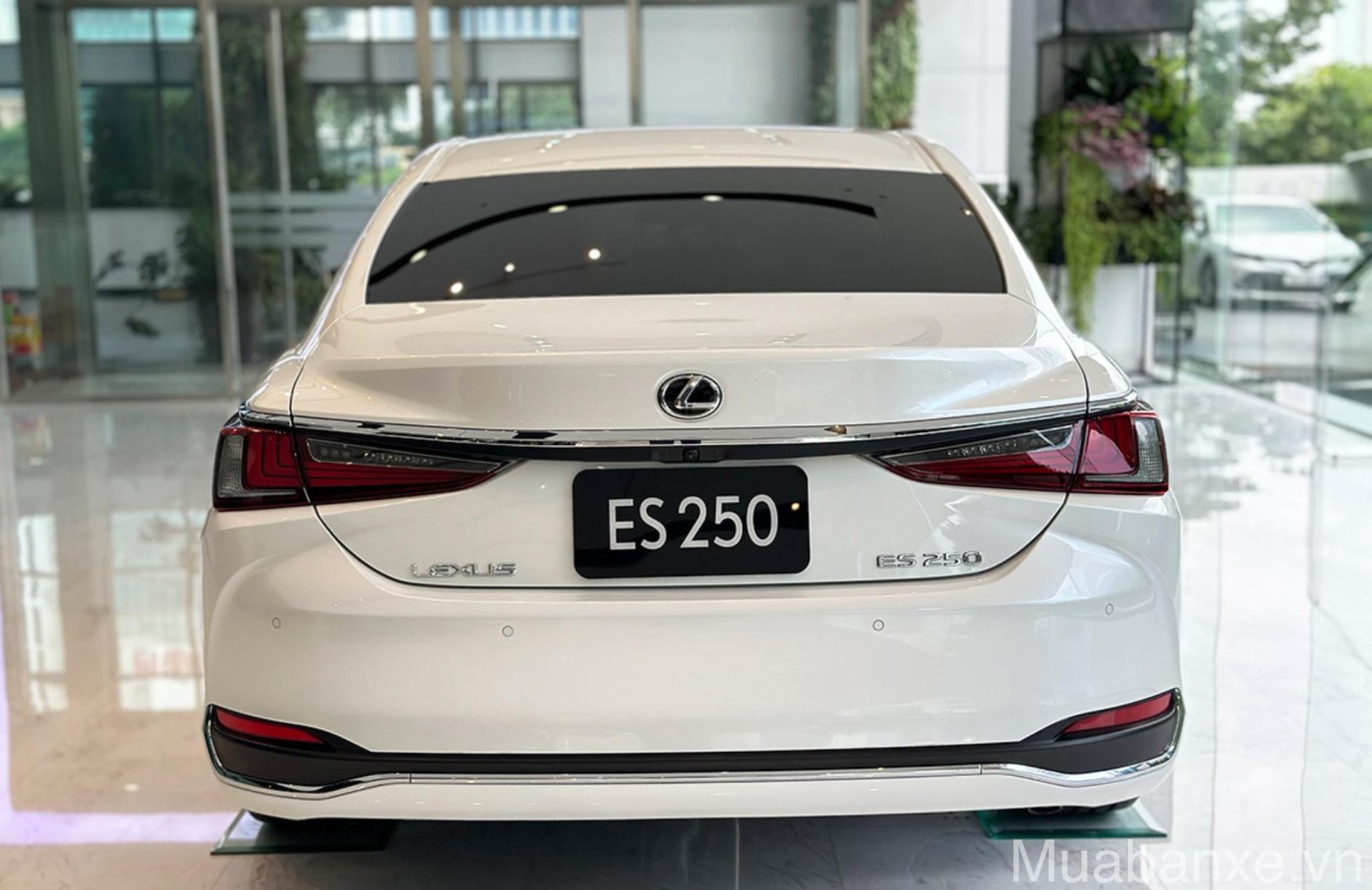 duoi xe lexus es250 tinbanxe vn