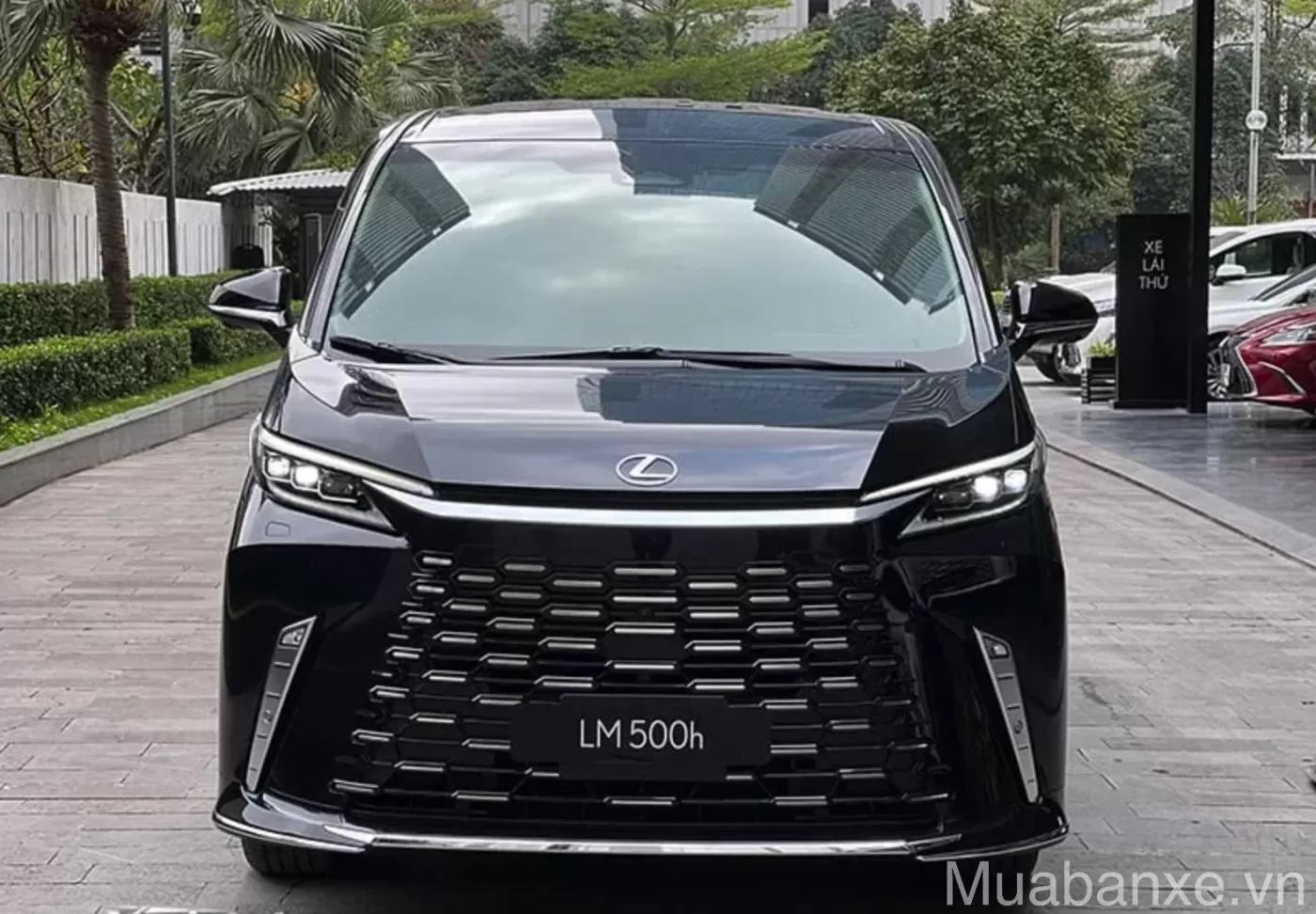 dau xe lexus lm500h tinbanxe vn