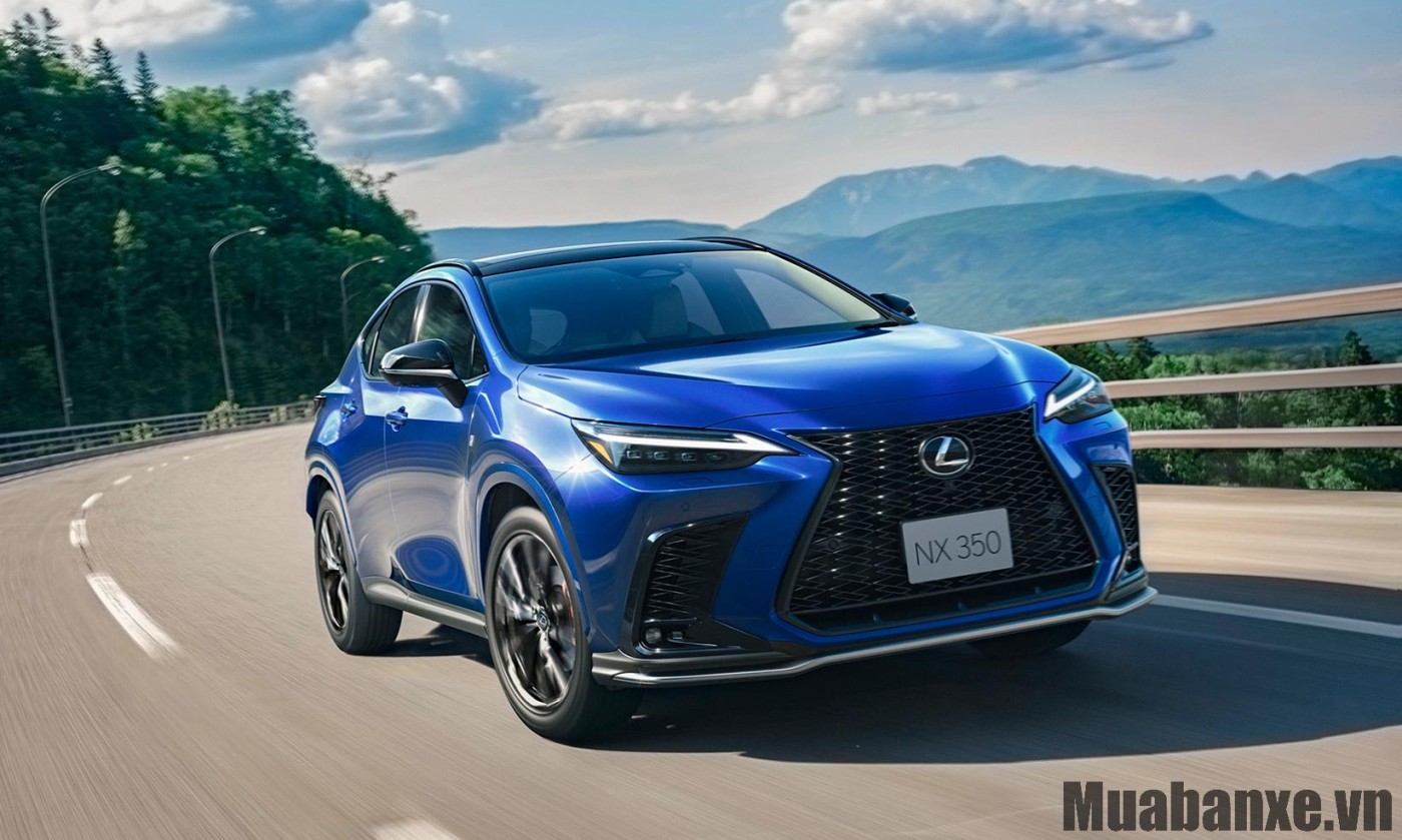 Cảm giác lái Lexus NX 350
