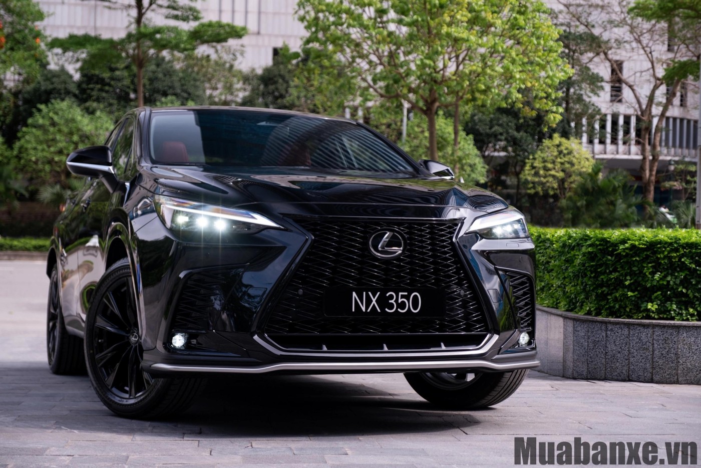 Đầu xe Lexus NX 350