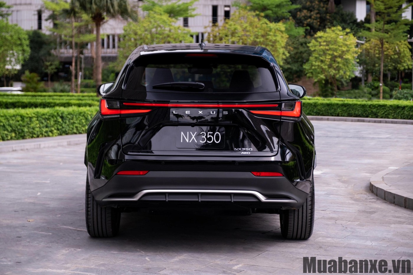 Đuôi xe Lexus NX 350