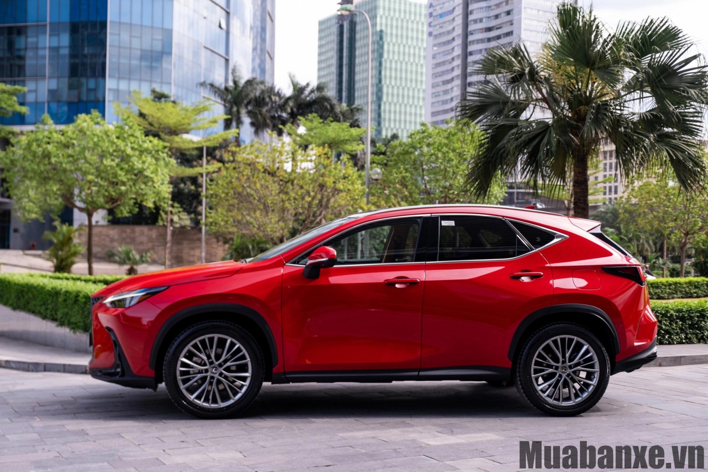 Thân xe Lexus NX 350