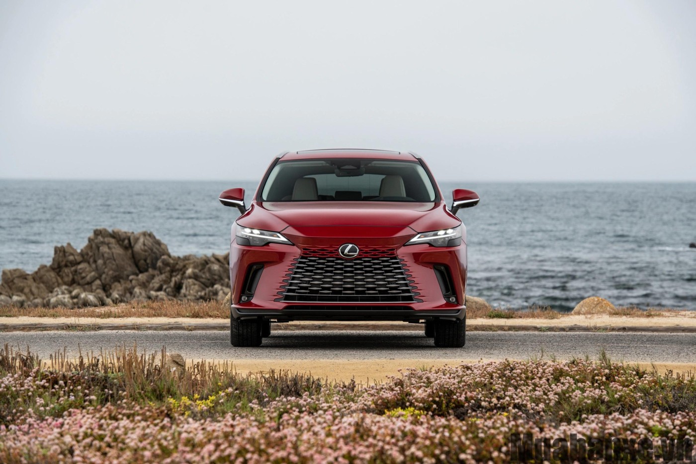 Đầu xe Lexus RX 450h