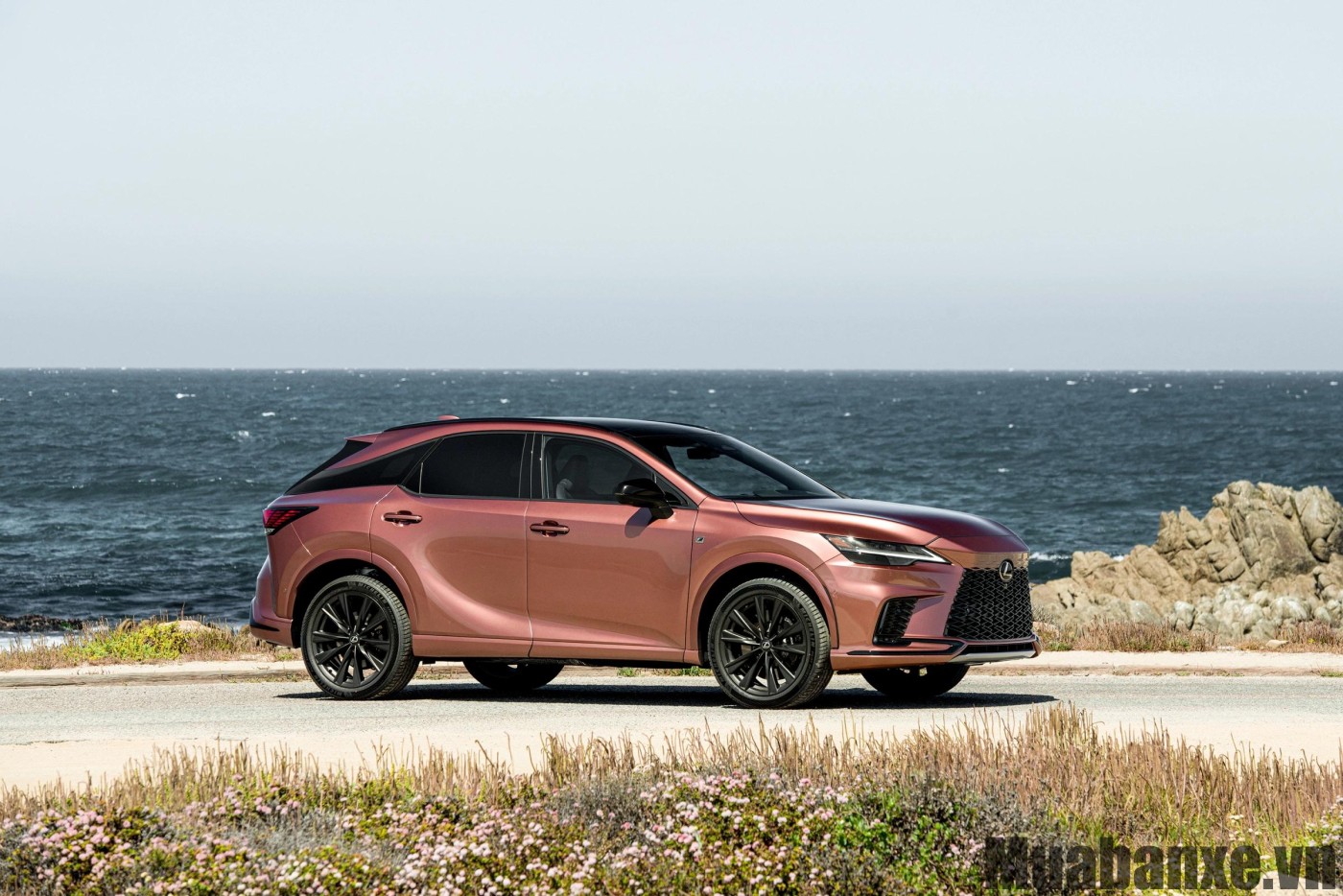 Thân xe Lexus RX 450h