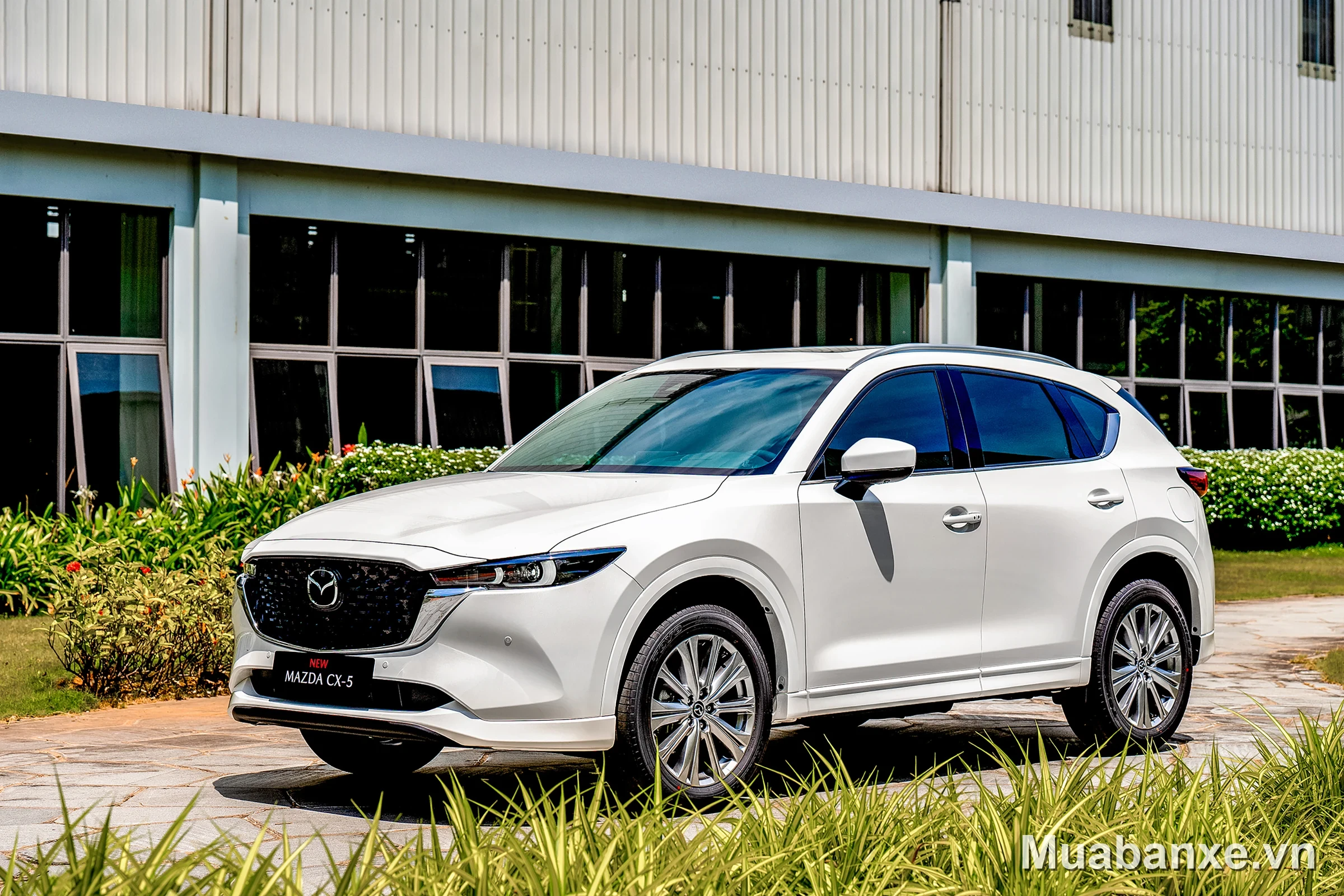 Mazda CX-5 màu trắng góc 3/4 trước, nổi bật giữa không gian xanh.