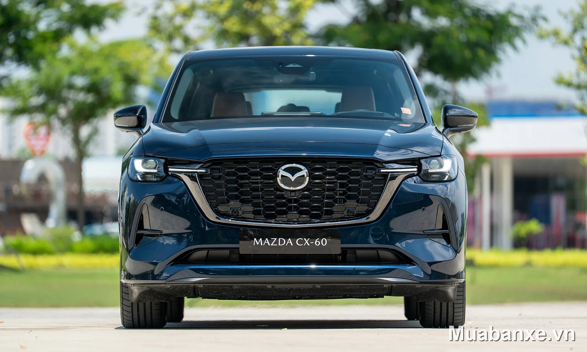 Mazda CX-60 đầu xe màu xanh dương Mazda CX-60 màu xanh dương nhìn từ đầu xe