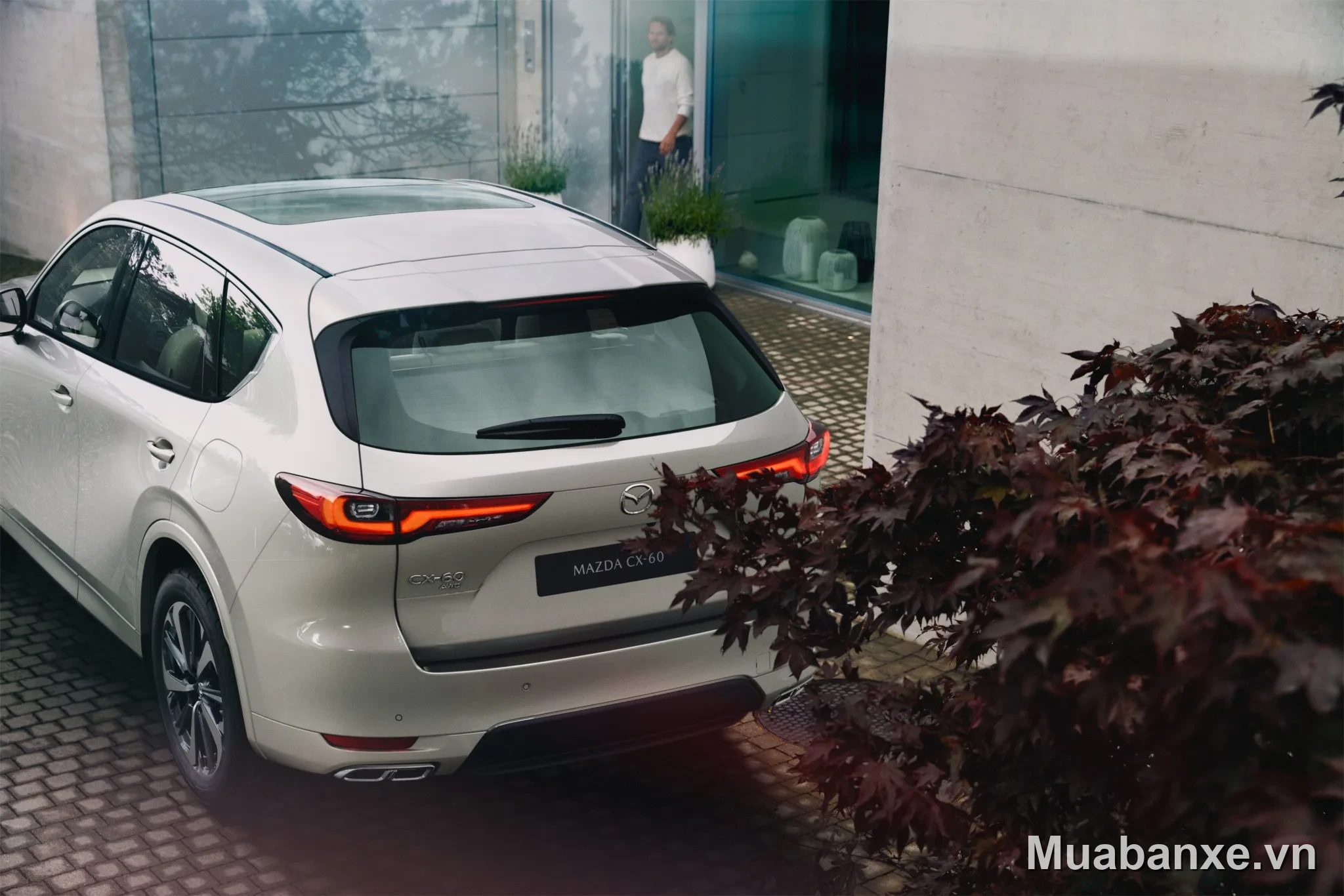 Mazda CX-5 đèn hậu Mazda CX-5 đèn hậu nhìn từ phía sau