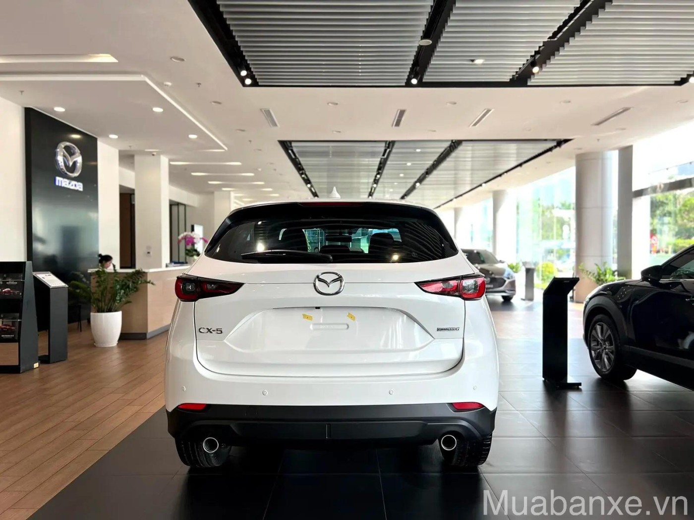 duoi xe mazda cx 5 tinbanxe vn
