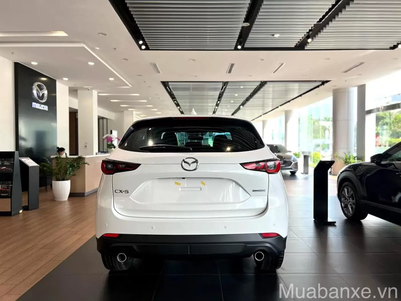 thiet ke duoi xe mazda cx 5 tinbanxe vn