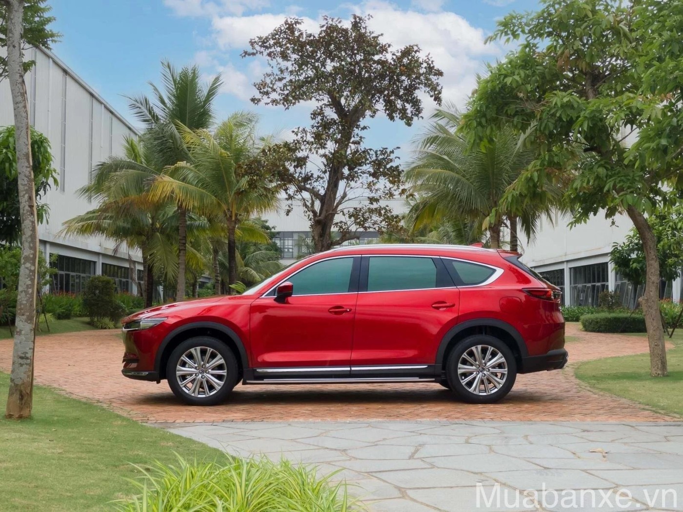 than xe mazda cx 8 tinbanxe vn