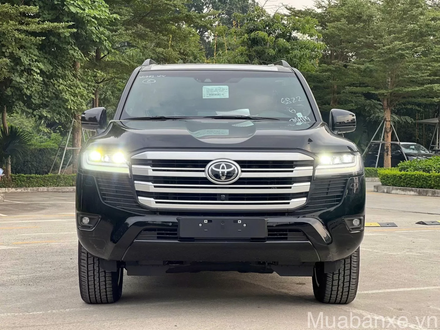 dau xe toyota land cruiser