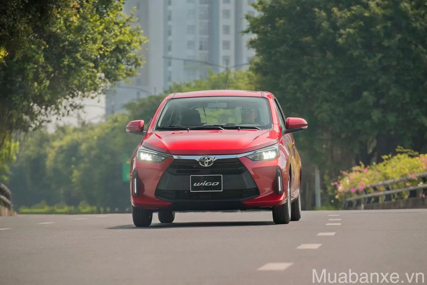 dau xe toyota wigo tinbanxe vn