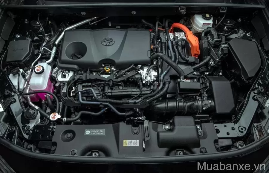 dong co xe toyota rav4 tinbanxe